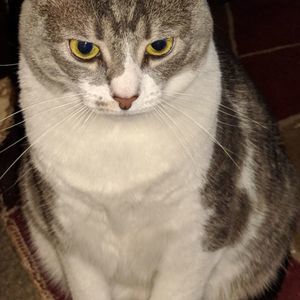 Meet your Posher, Guillermo